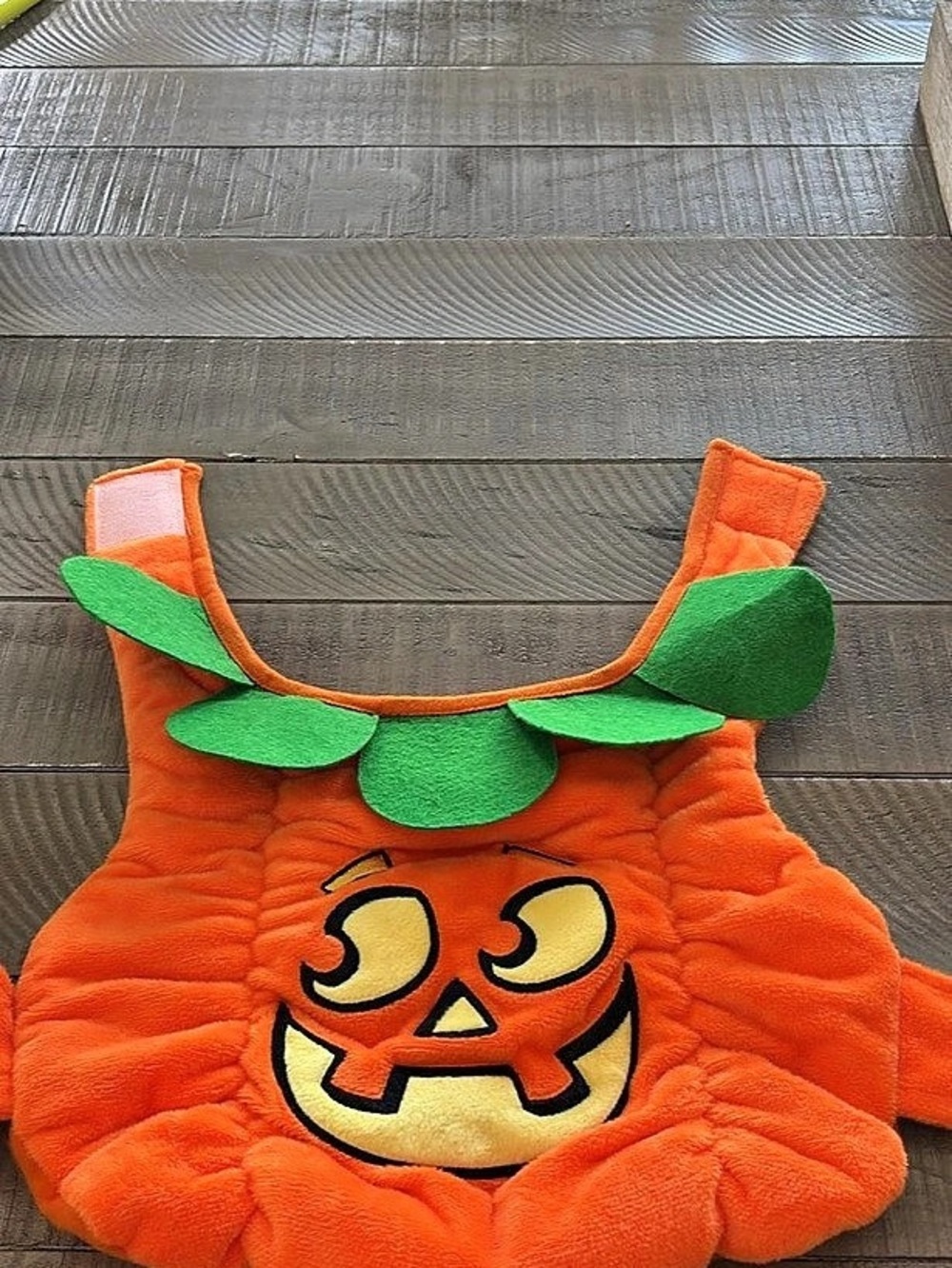 Pumpkin Halloween pet costume Orange & Green -